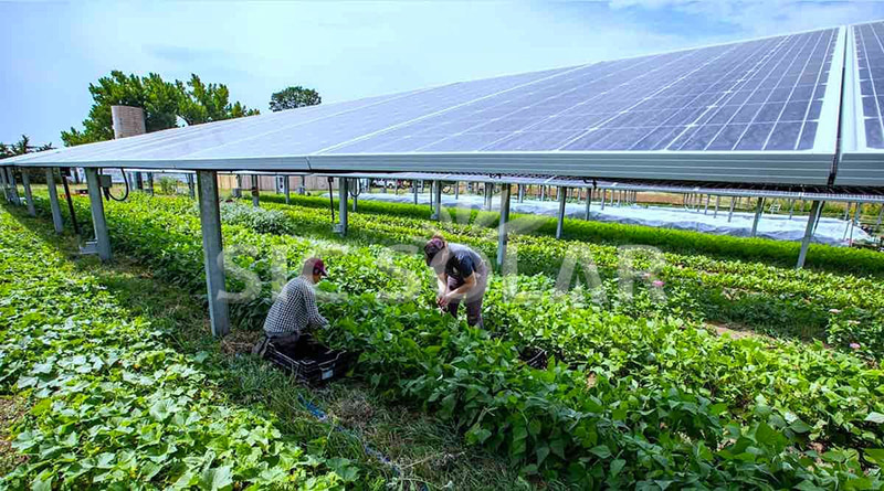 Solar Agricultural Structure Farm