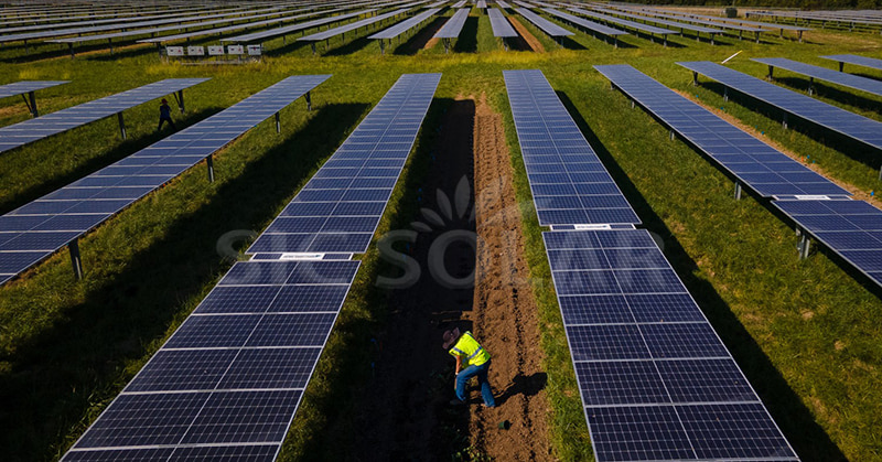 agrivoltaic farming