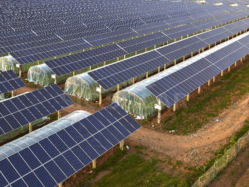 10MW zonne-montagesysteem voor boerderijen in India
