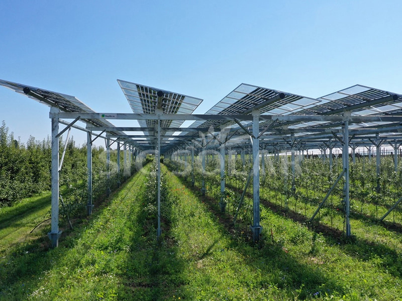 500KW Solar Agriculture Mounting System In Netherlands
