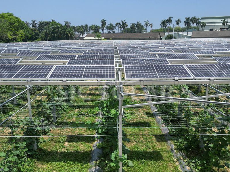 500KW agrarische zonne-Pv-standaardbeugel in de Verenigde Staten